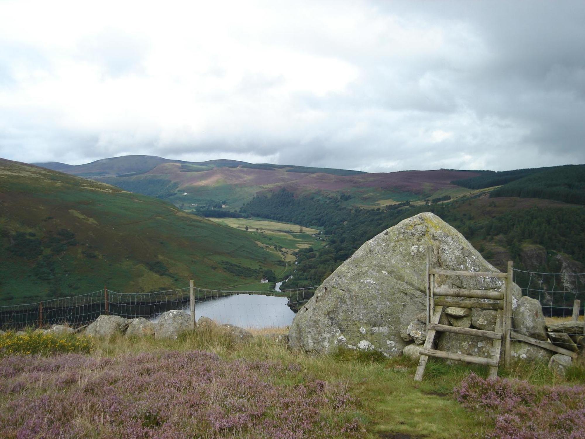 Bed and Breakfast Lough Dan House Oldbridge Exteriér fotografie