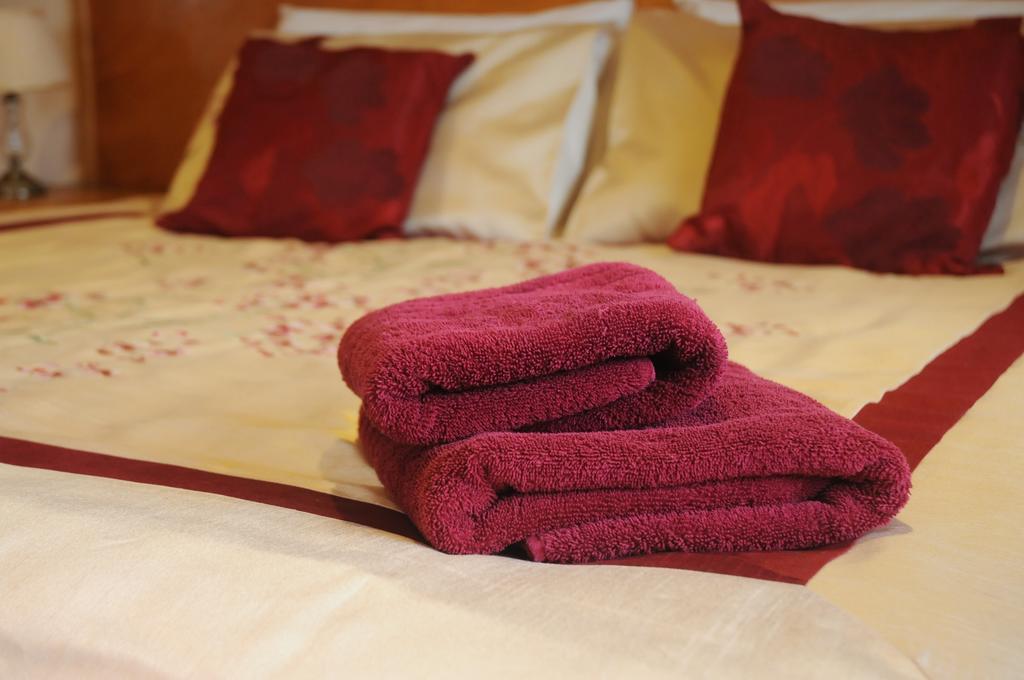 Bed and Breakfast Lough Dan House Oldbridge Pokoj fotografie